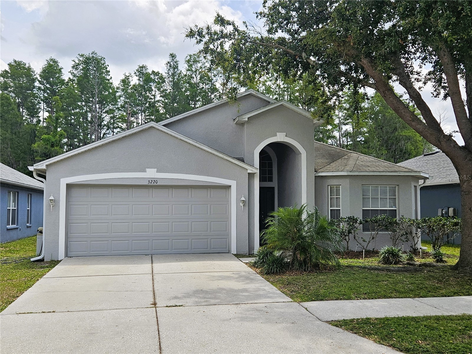 3220 Clover Blossom Circle Land O Lakes FL 34638 TB8525770 image1
