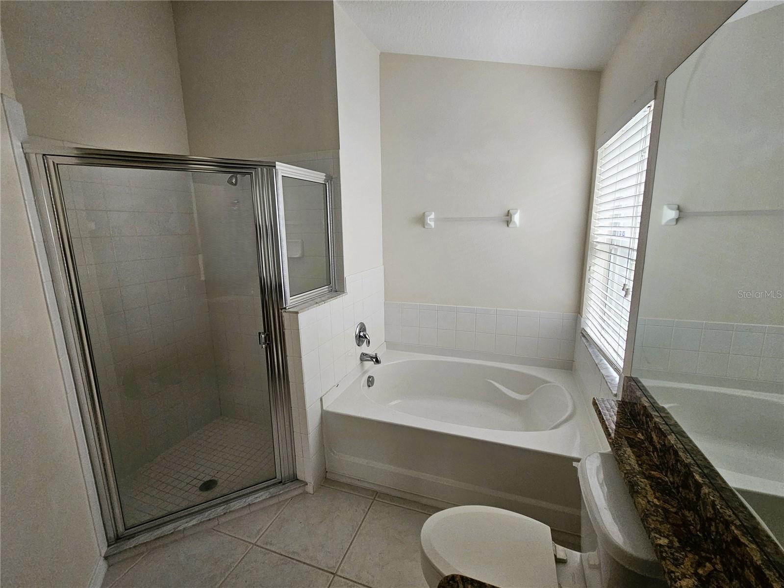 3220 Clover Blossom Circle Land O Lakes FL 34638 TB8525770 image17