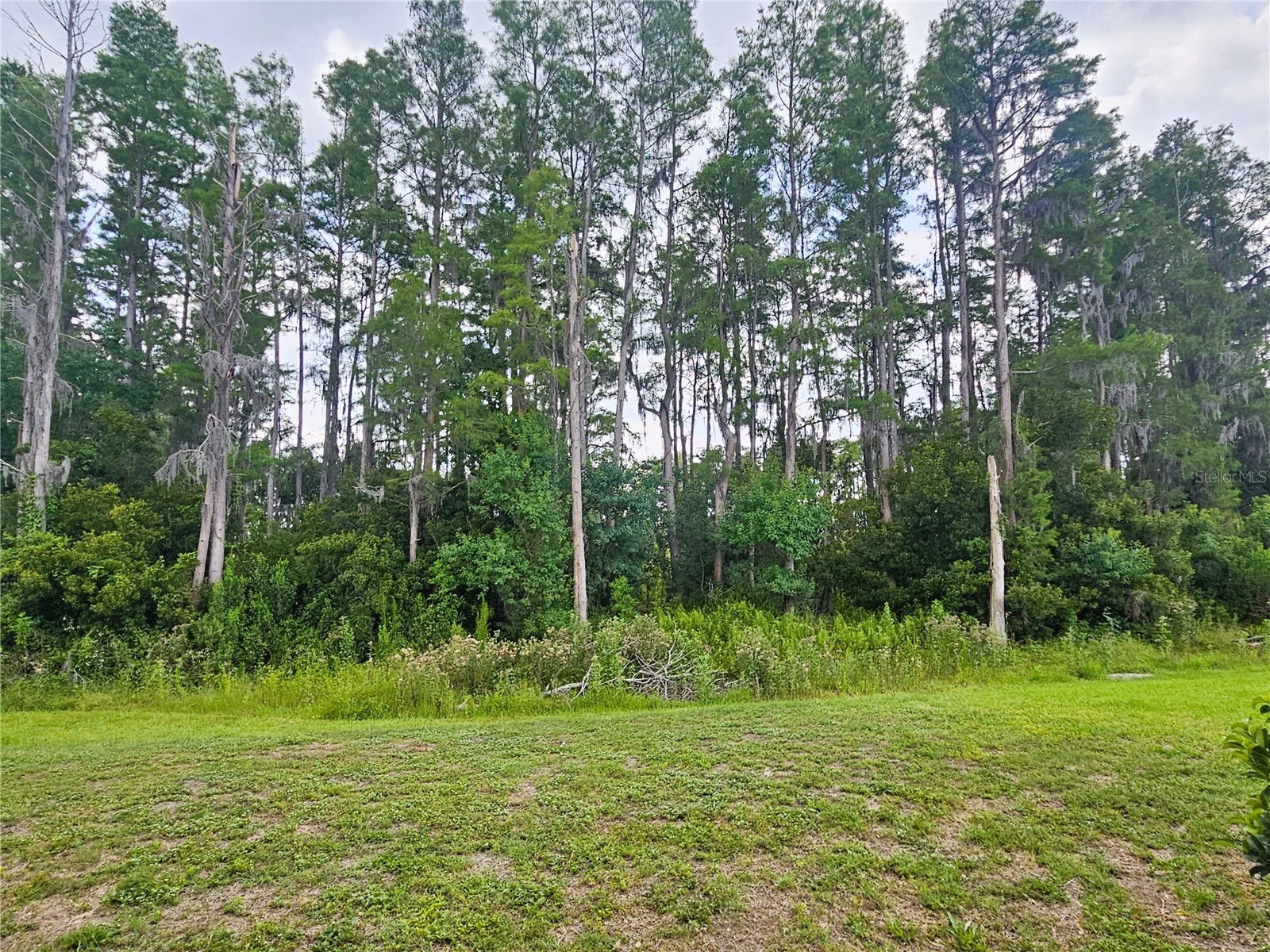 3220 Clover Blossom Circle Land O Lakes FL 34638 TB8525770 image24