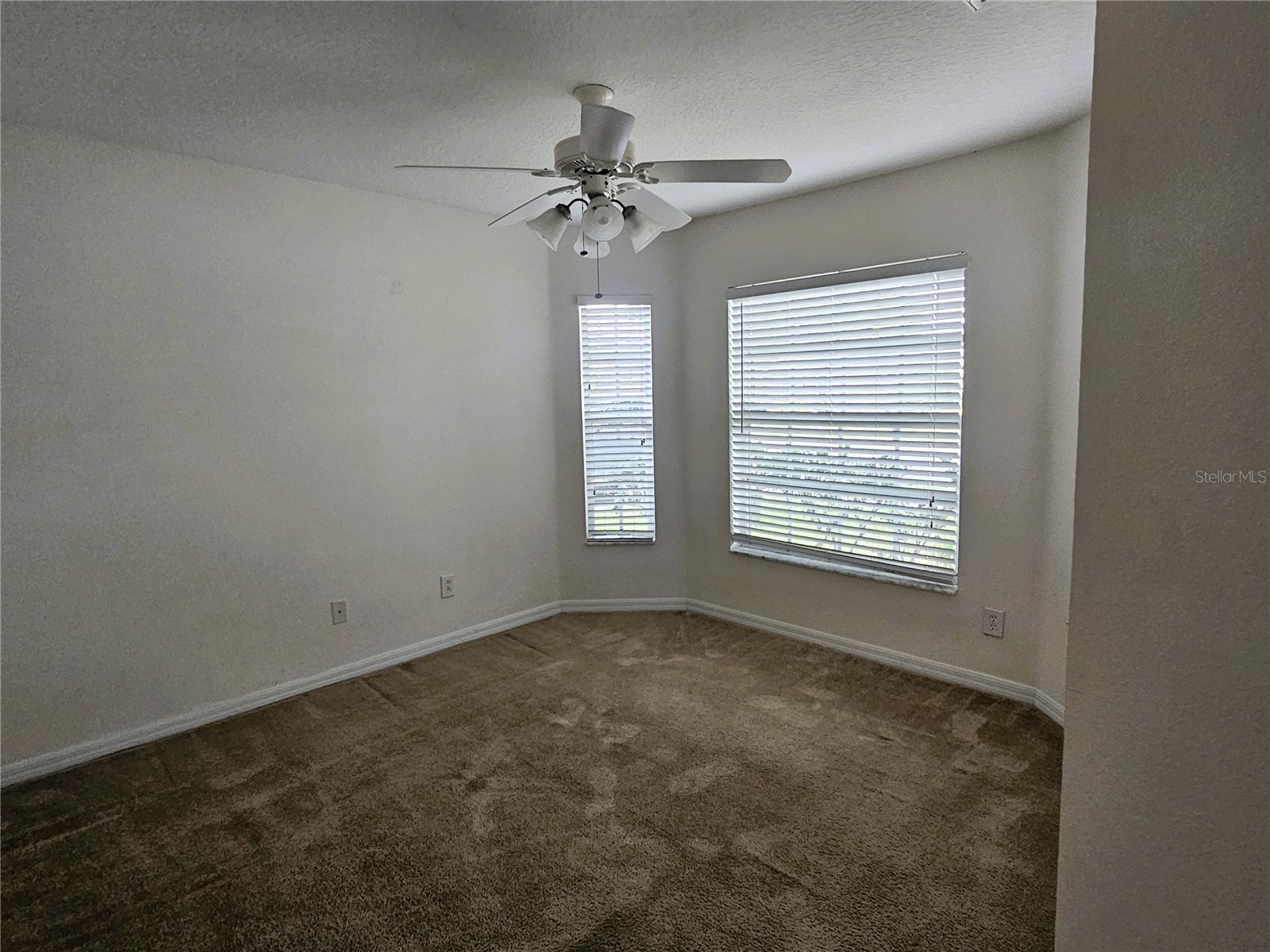 3220 Clover Blossom Circle Land O Lakes FL 34638 TB8525770 image4