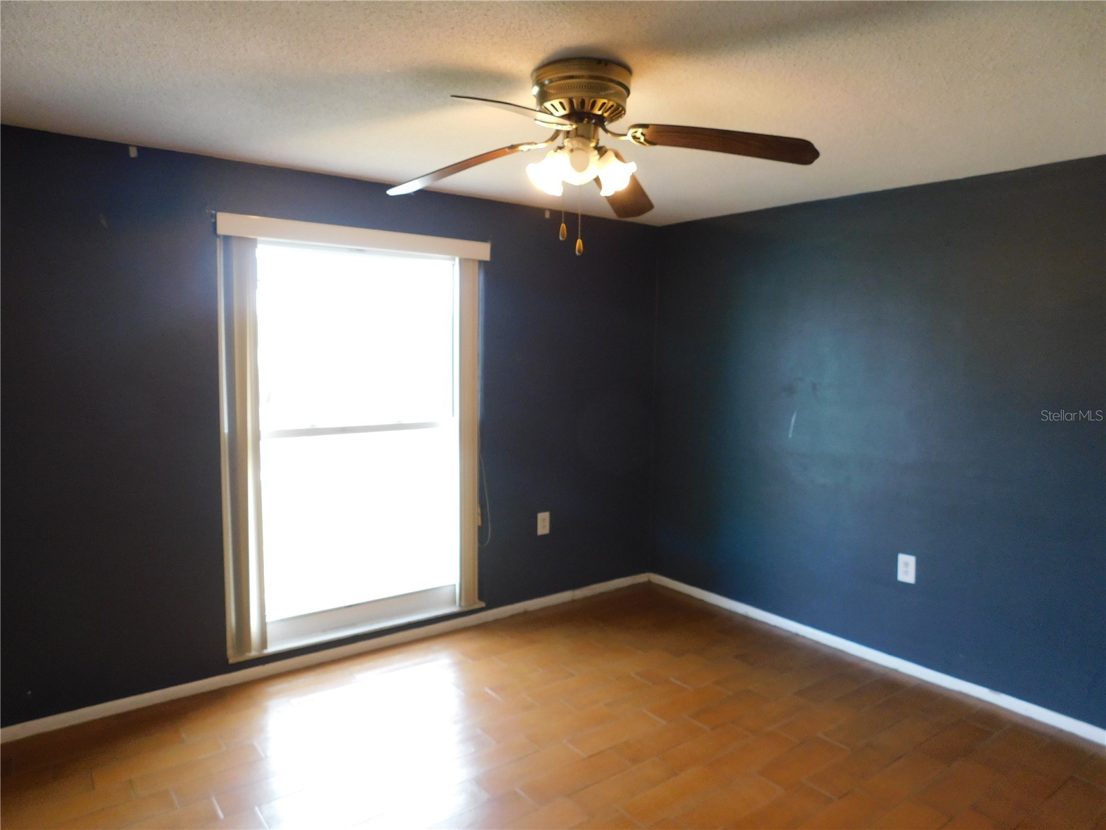 3220 Coldwell Drive Holiday FL 34691 TB8507548 image5