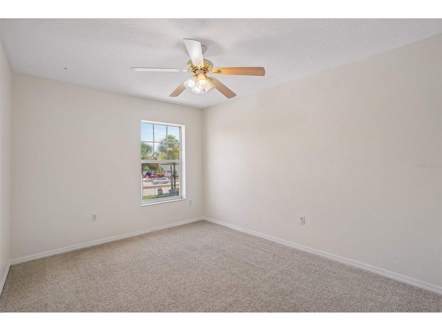 3220 County Road 1 Dunedin FL 34698 TB8506198 image33