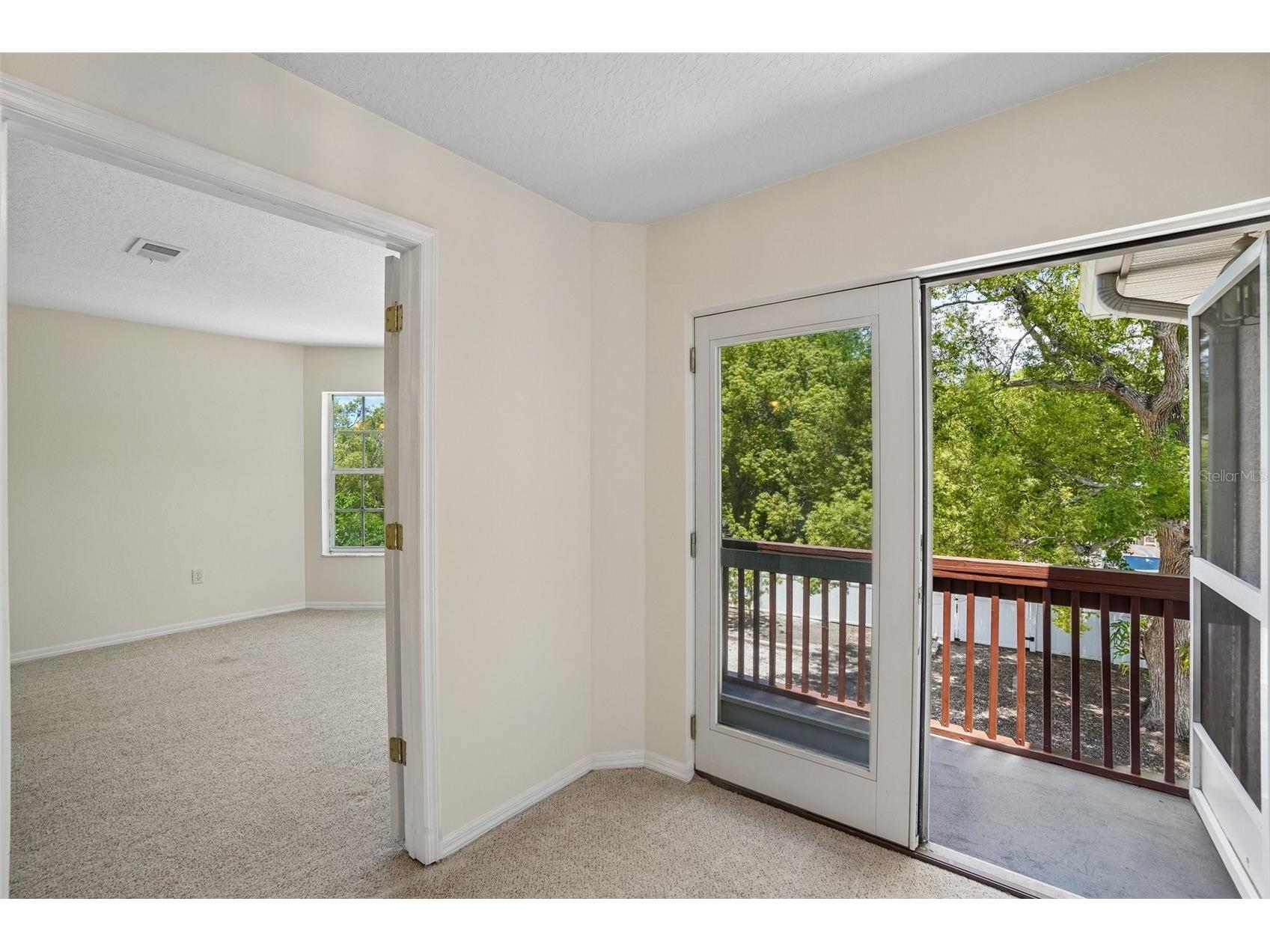 3220 County Road 1 Dunedin FL 34698 TB8506198 image35