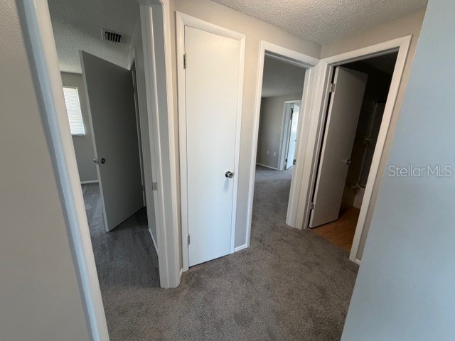 3220 Huntington Road Holiday FL 34691 TB8496213 image11