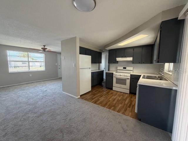3220 Huntington Road Holiday FL 34691 TB8496213 image7