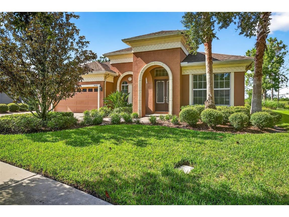 32202 Summerglade Drive Wesley Chapel FL 33545 TB8409580 image1