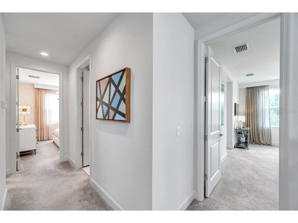 32203 Mahogany Valley Drive Wesley Chapel FL 33543 TB8400495 image26