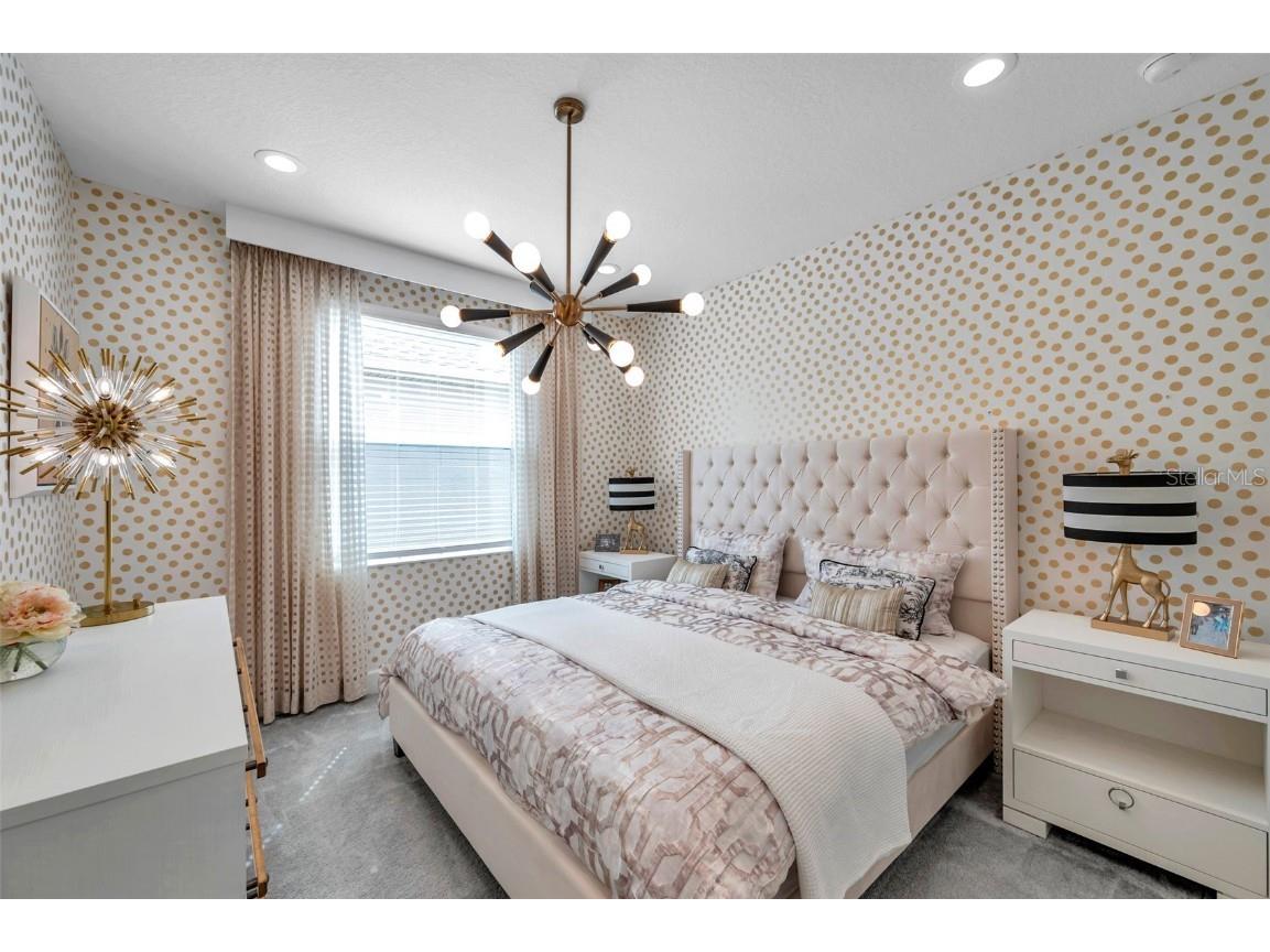 32203 Mahogany Valley Drive Wesley Chapel FL 33543 TB8400495 image44