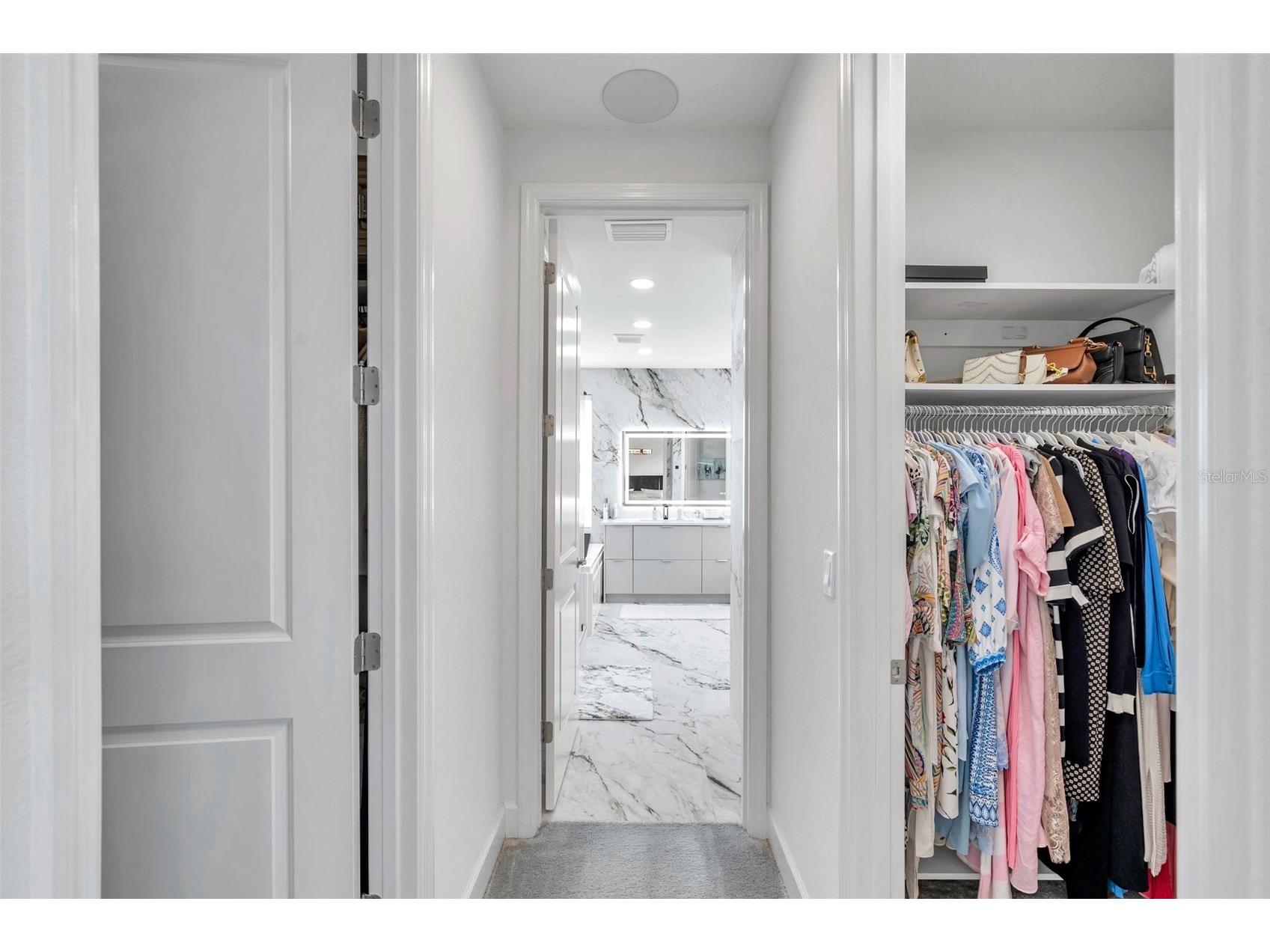 32203 Mahogany Valley Drive Wesley Chapel FL 33543 TB8499174 image33