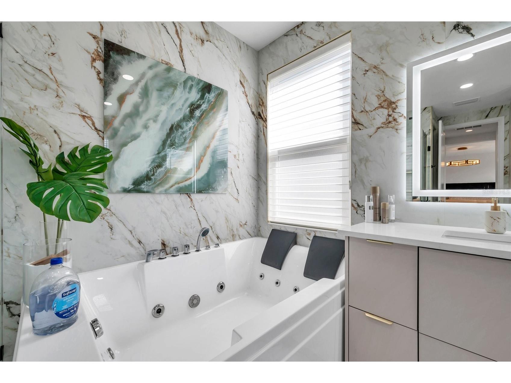 32203 Mahogany Valley Drive Wesley Chapel FL 33543 TB8499174 image38