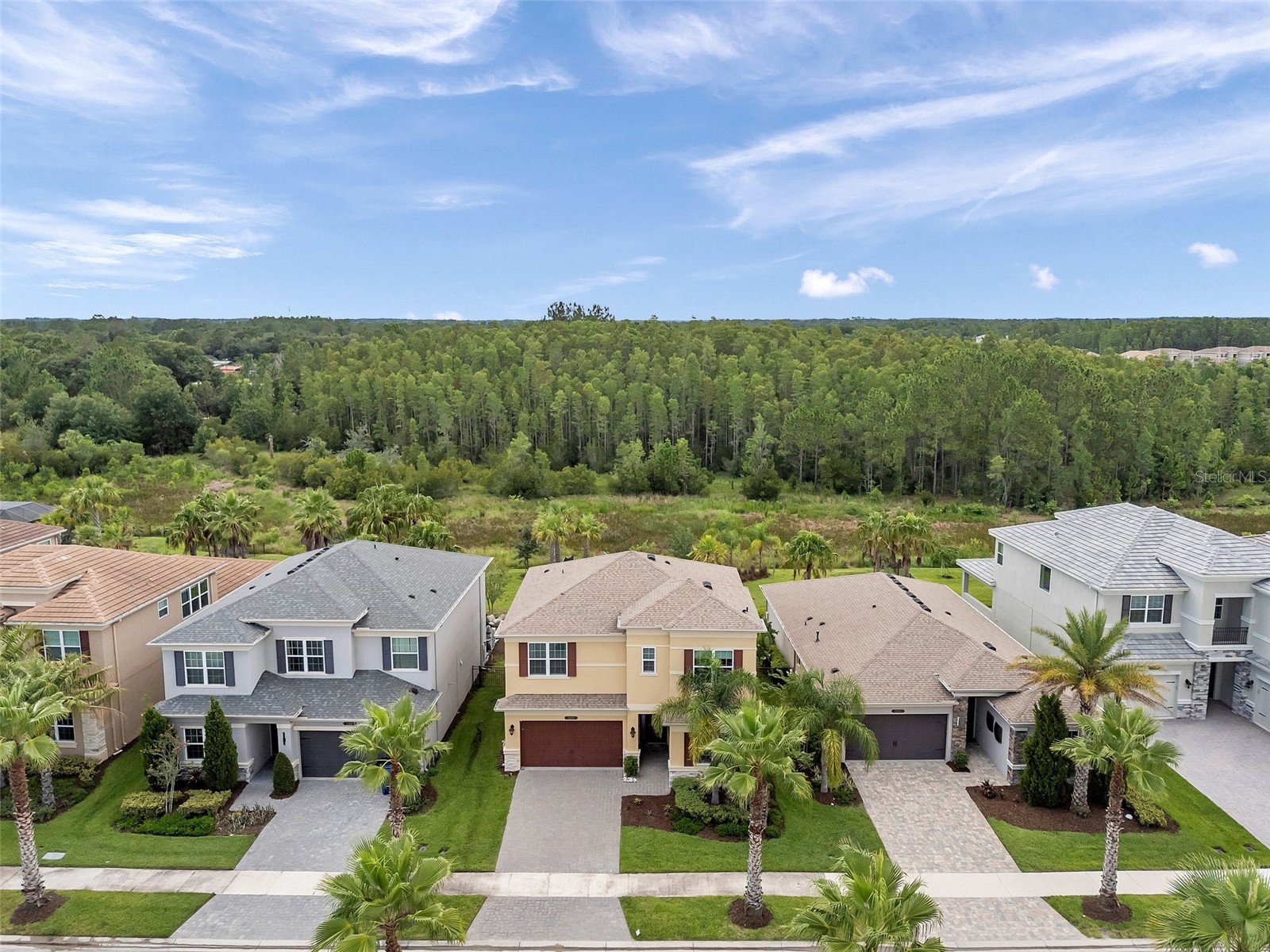 32203 Mahogany Valley Drive Wesley Chapel FL 33543 TB8499174 image61