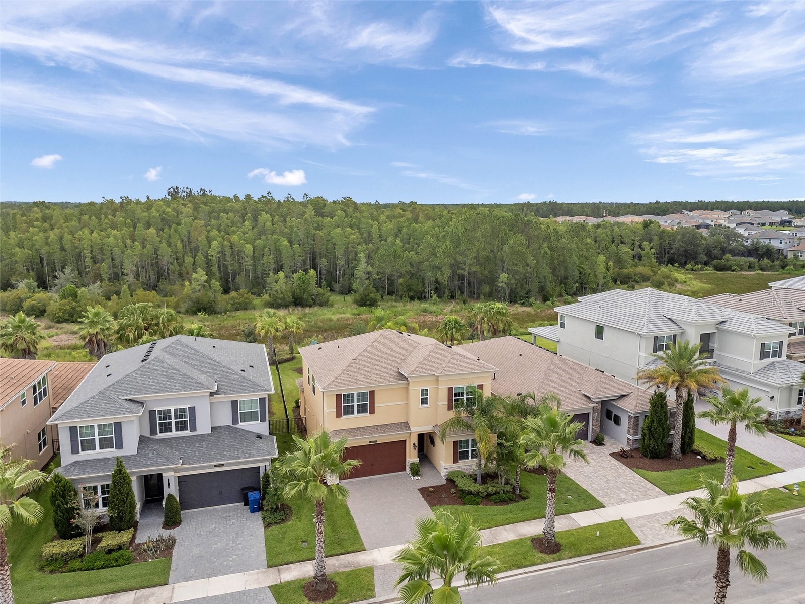 32203 Mahogany Valley Drive Wesley Chapel FL 33543 TB8499174 image62