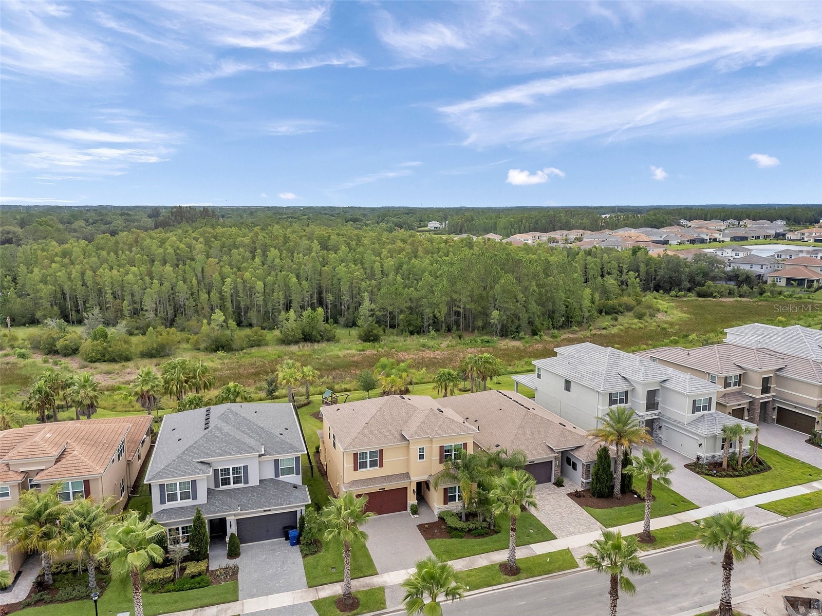 32203 Mahogany Valley Drive Wesley Chapel FL 33543 TB8499174 image63
