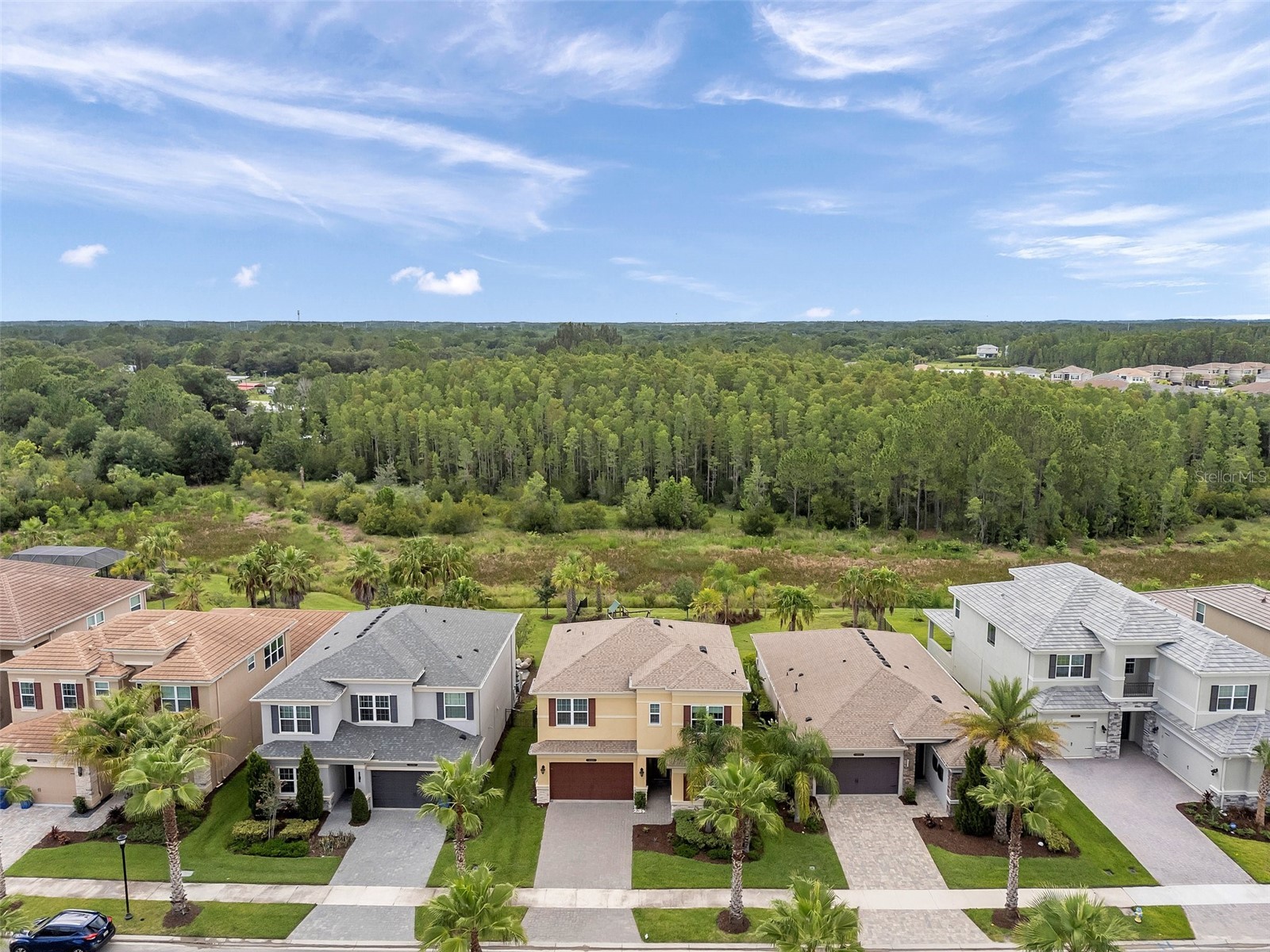 32203 Mahogany Valley Drive Wesley Chapel FL 33543 TB8499174 image64
