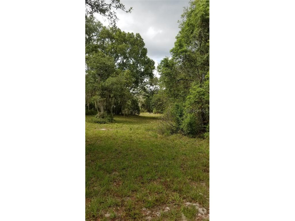 32203 Wacassa Trail Sorrento FL 32776 - ST. JOHN'S RIVER O6105768 image1