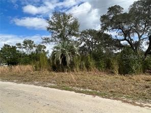 32206 3rd Avenue Deland FL 32720 V4938891 image1