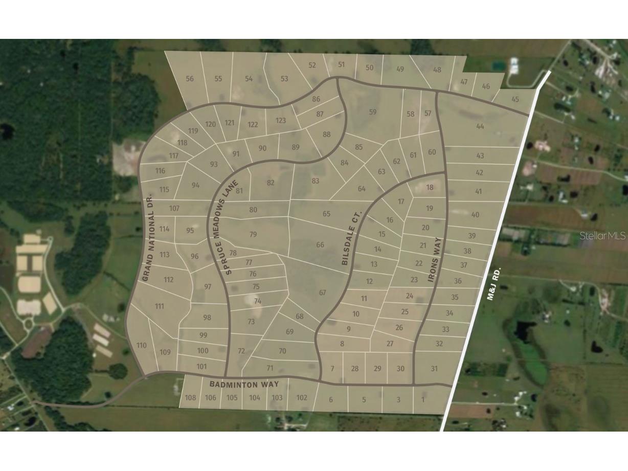 32206 Grand National Drive Myakka City FL 34251 A4630642 image18