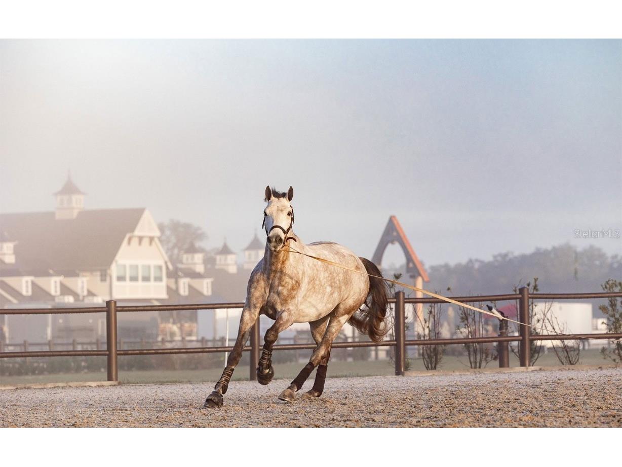 32206 Grand National Drive Myakka City FL 34251 A4630642 image23