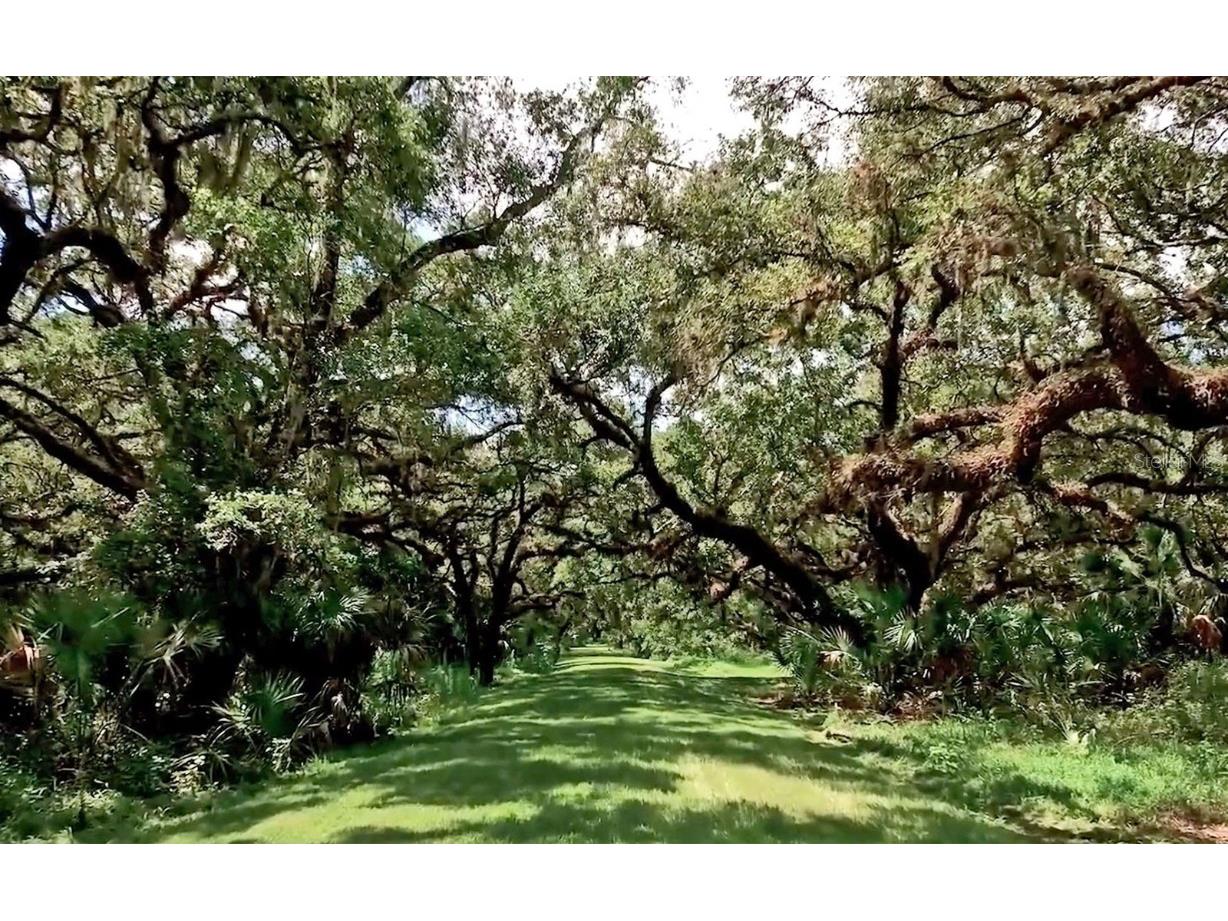 32206 Grand National Drive Myakka City FL 34251 A4630642 image24