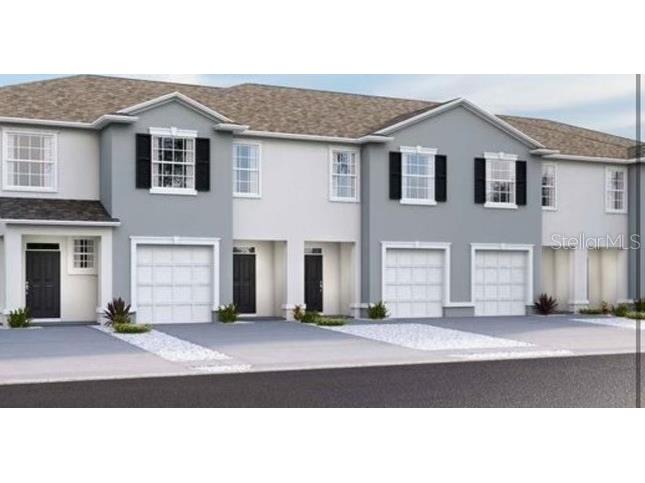 32207 Turtle Grace Loop Wesley Chapel FL 33545 O6164739 image1