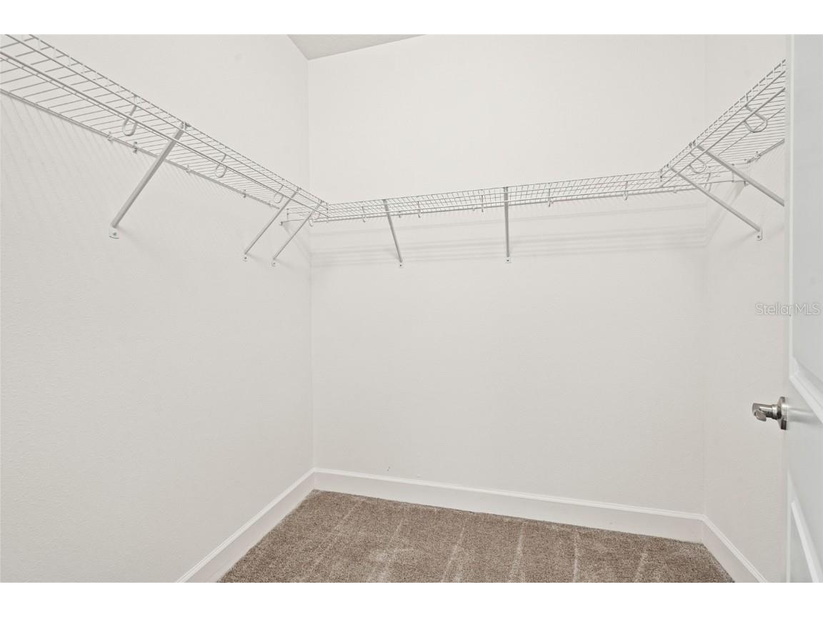 32208 Rosewood Meadow Lane Wesley Chapel FL 33543 TB8456264 image16