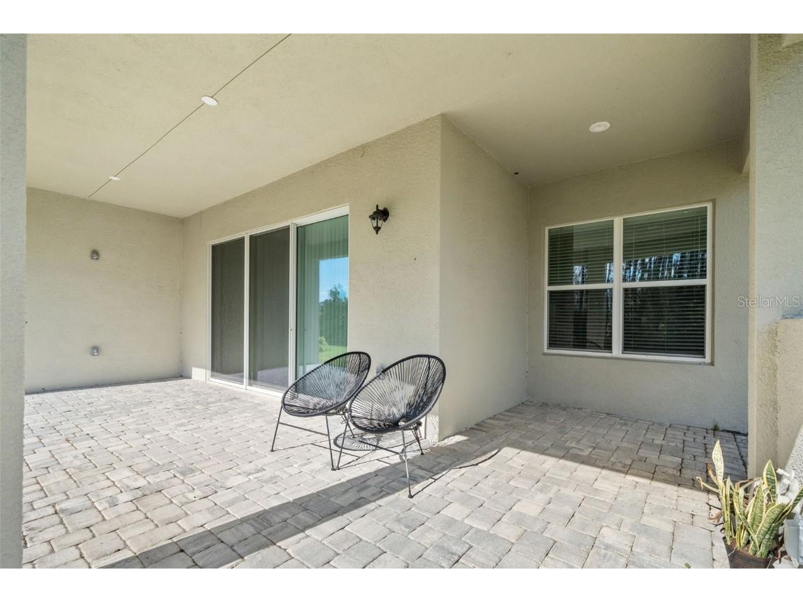 32208 Rosewood Meadow Lane Wesley Chapel FL 33543 TB8456264 image26