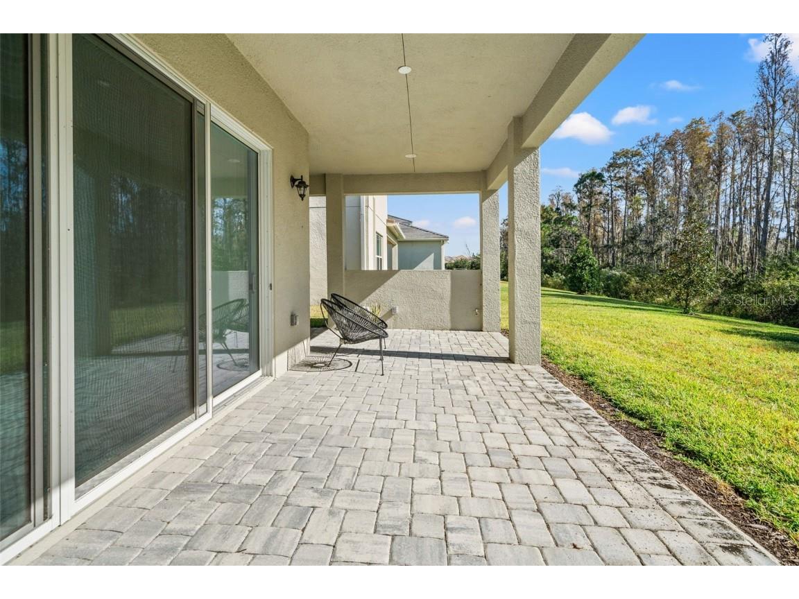 32208 Rosewood Meadow Lane Wesley Chapel FL 33543 TB8456264 image27