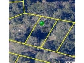 3221 Dublin Road Dade City FL 33523 TB8365101 image10