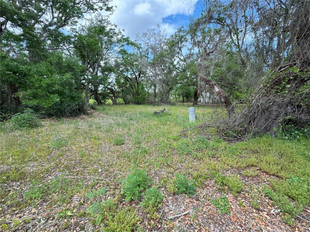 3221 Dublin Road Dade City FL 33523 TB8365101 image3