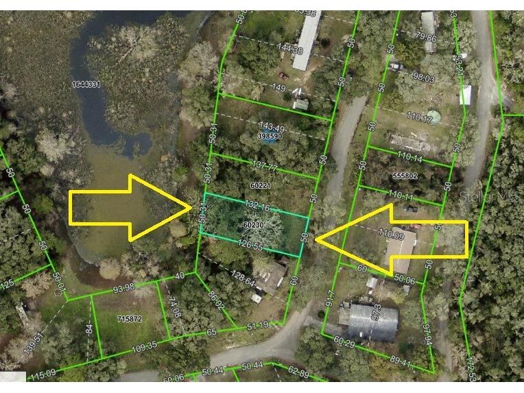 3221 Dublin Road Dade City FL 33523 TB8365101 image4