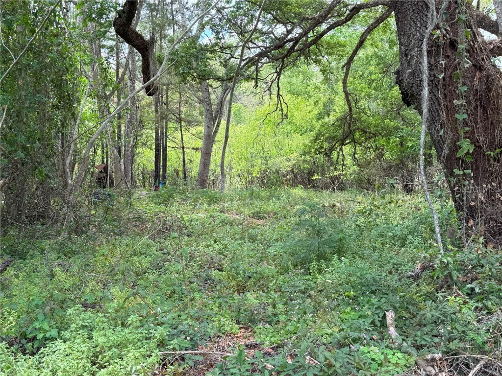 3221 Dublin Road Dade City FL 33523 TB8365101 image5