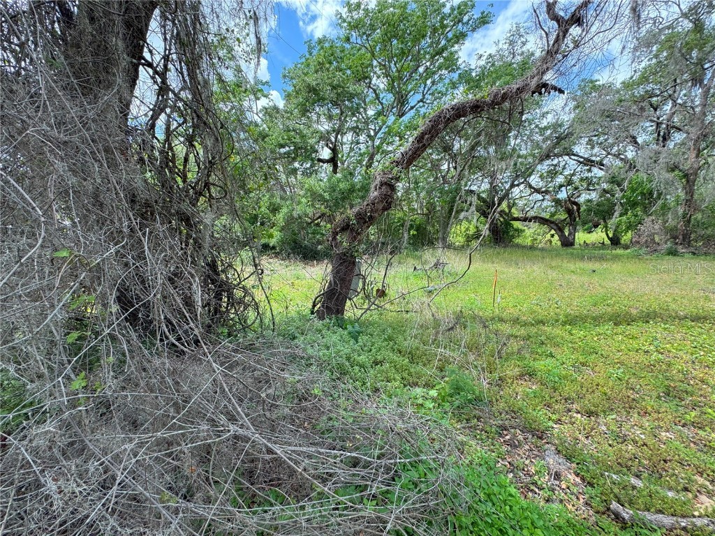 3221 Dublin Road Dade City FL 33523 TB8365101 image7