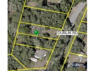 3221 Dublin Road Dade City FL 33523 TB8365101 image9