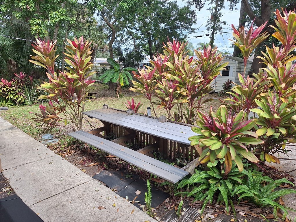 3221 Lime Tree Drive Edgewater FL 32141 NS1086508 image26