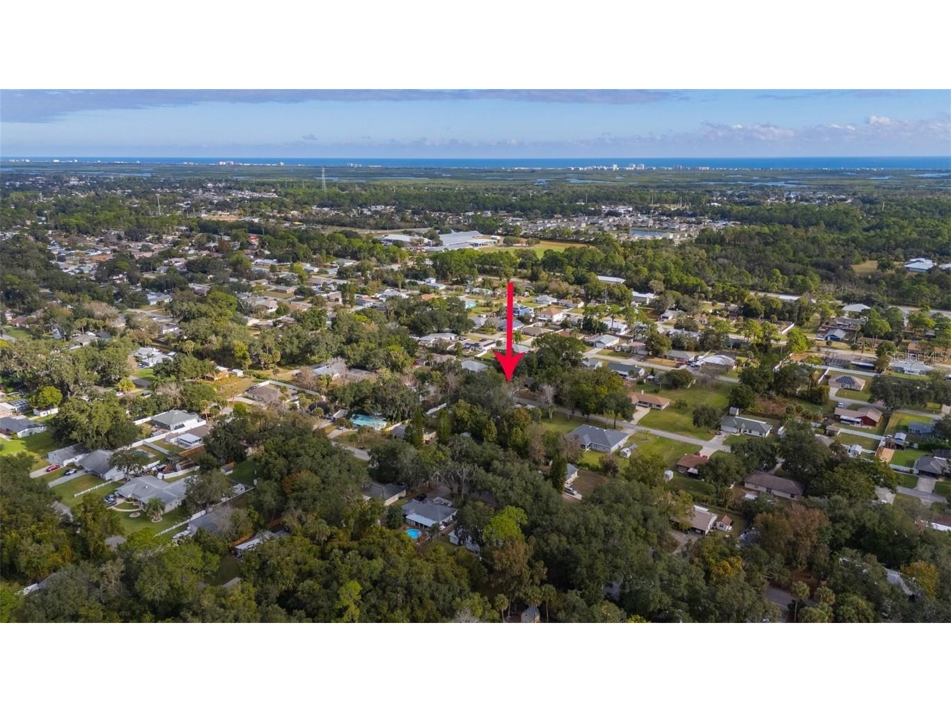 3221 Lime Tree Drive Edgewater FL 32141 NS1086508 image30