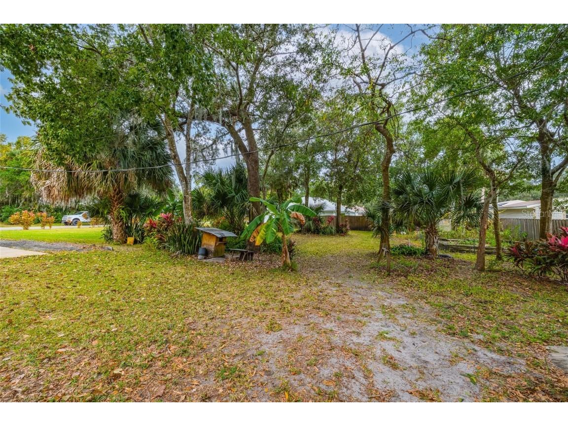 3221 Lime Tree Drive Edgewater FL 32141 NS1086508 image8