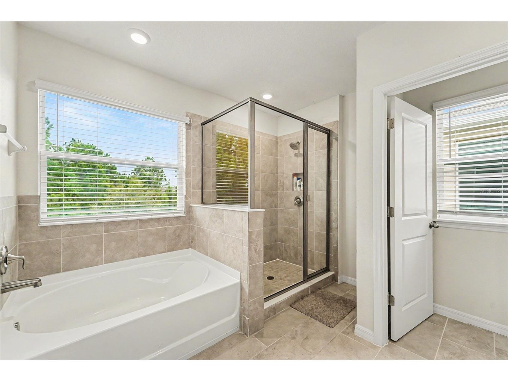 3221 Living Coral Drive Odessa FL 33556 TB8520485 image25