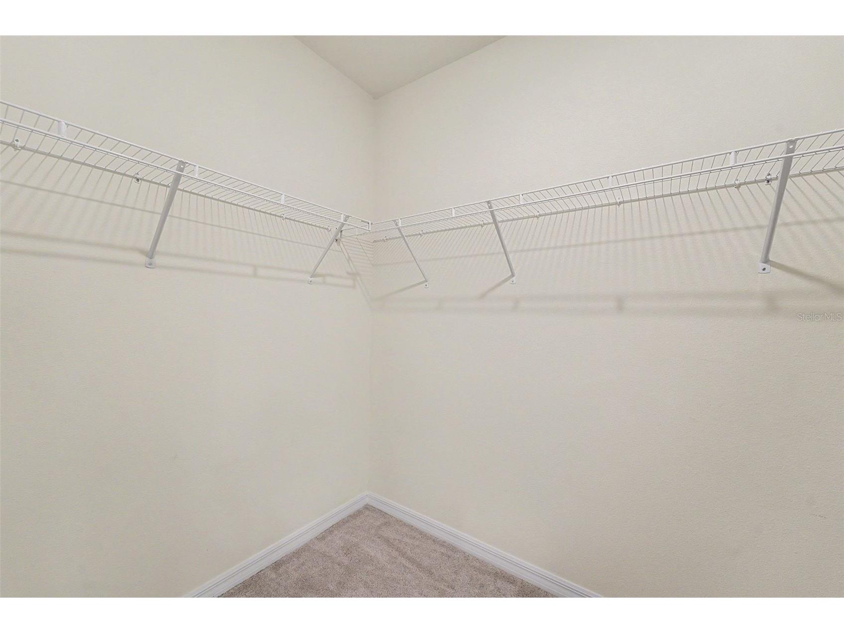 3221 Living Coral Drive Odessa FL 33556 TB8520485 image33