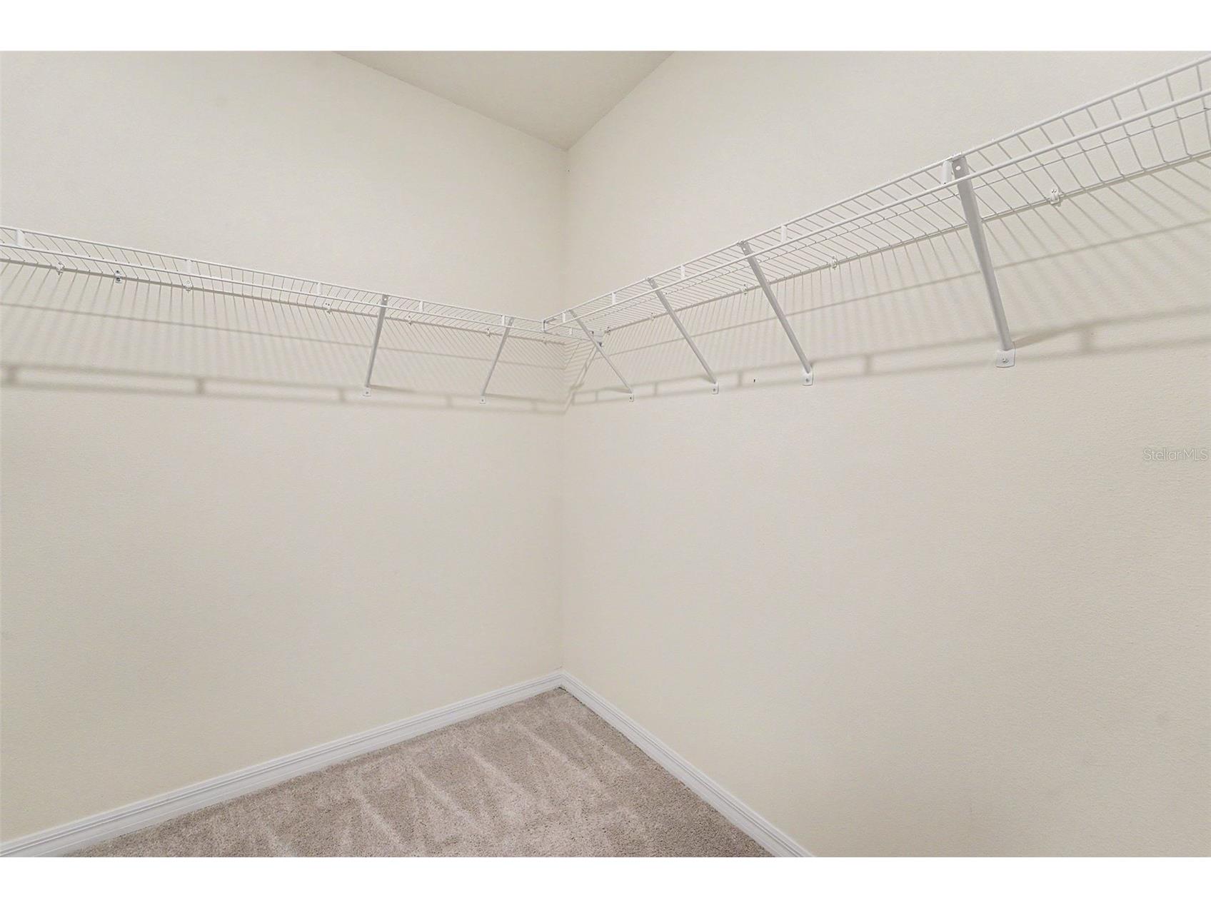 3221 Living Coral Drive Odessa FL 33556 TB8520485 image34