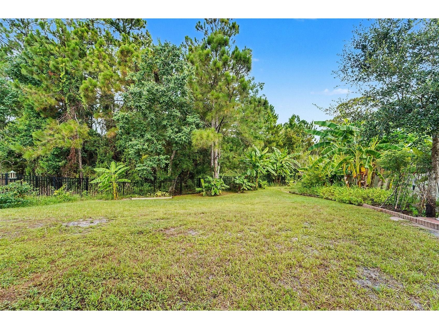 3221 Living Coral Drive Odessa FL 33556 TB8520485 image40