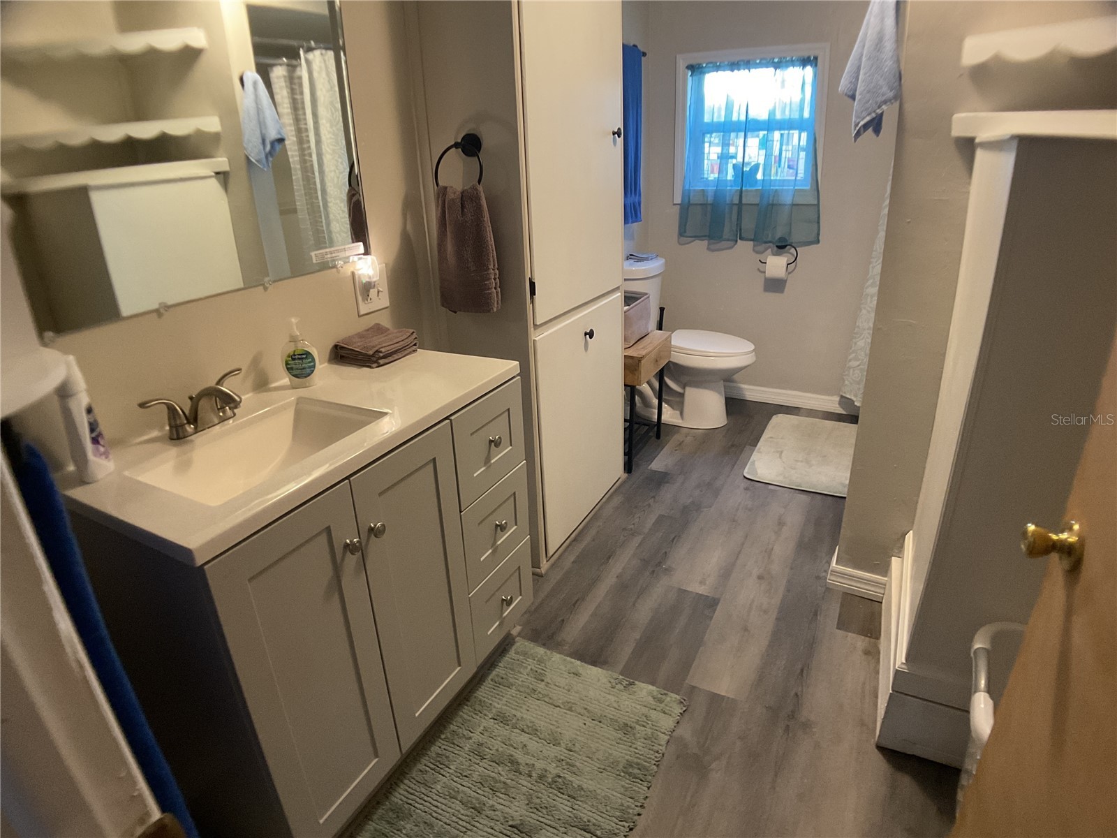 3221 NE Davis Street Arcadia FL 34266 C7522437 image27