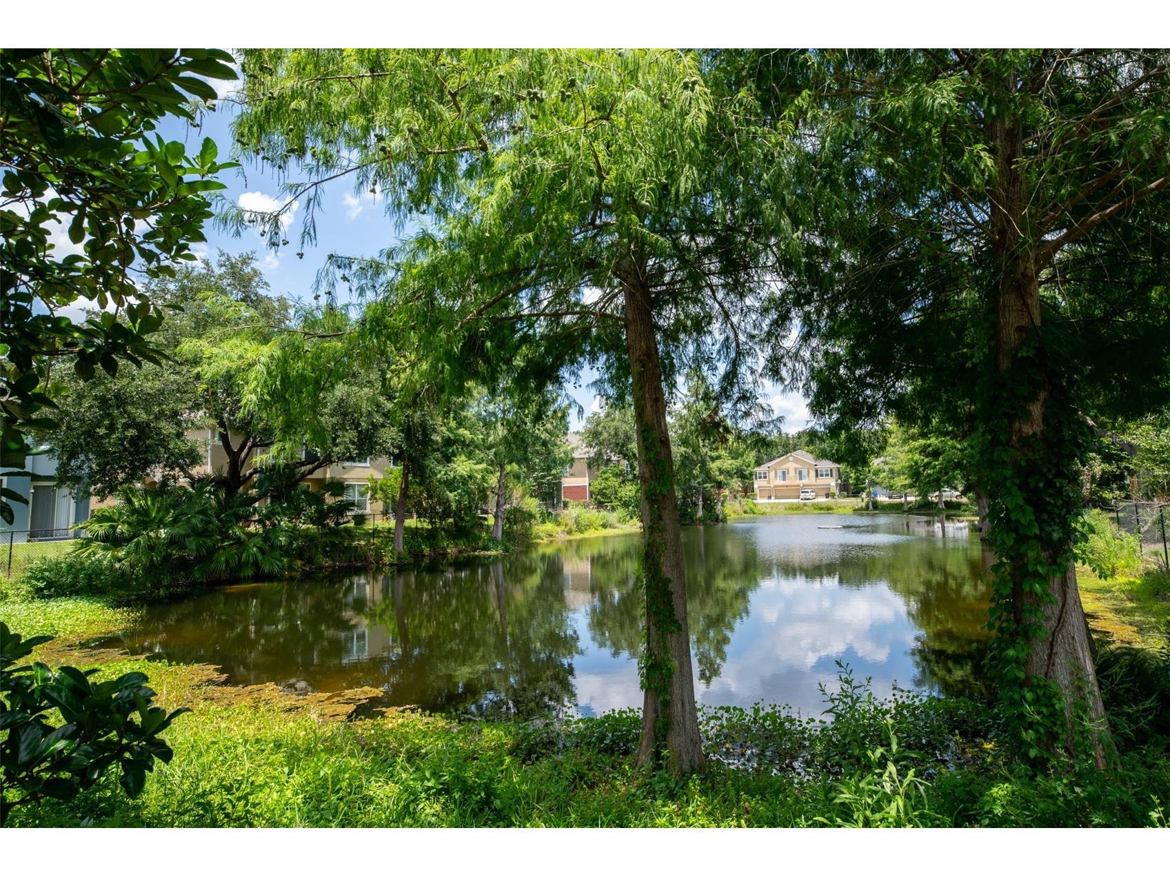 3221 San Jacinto Circle #3221 Sanford FL 32771 O6420936 image2
