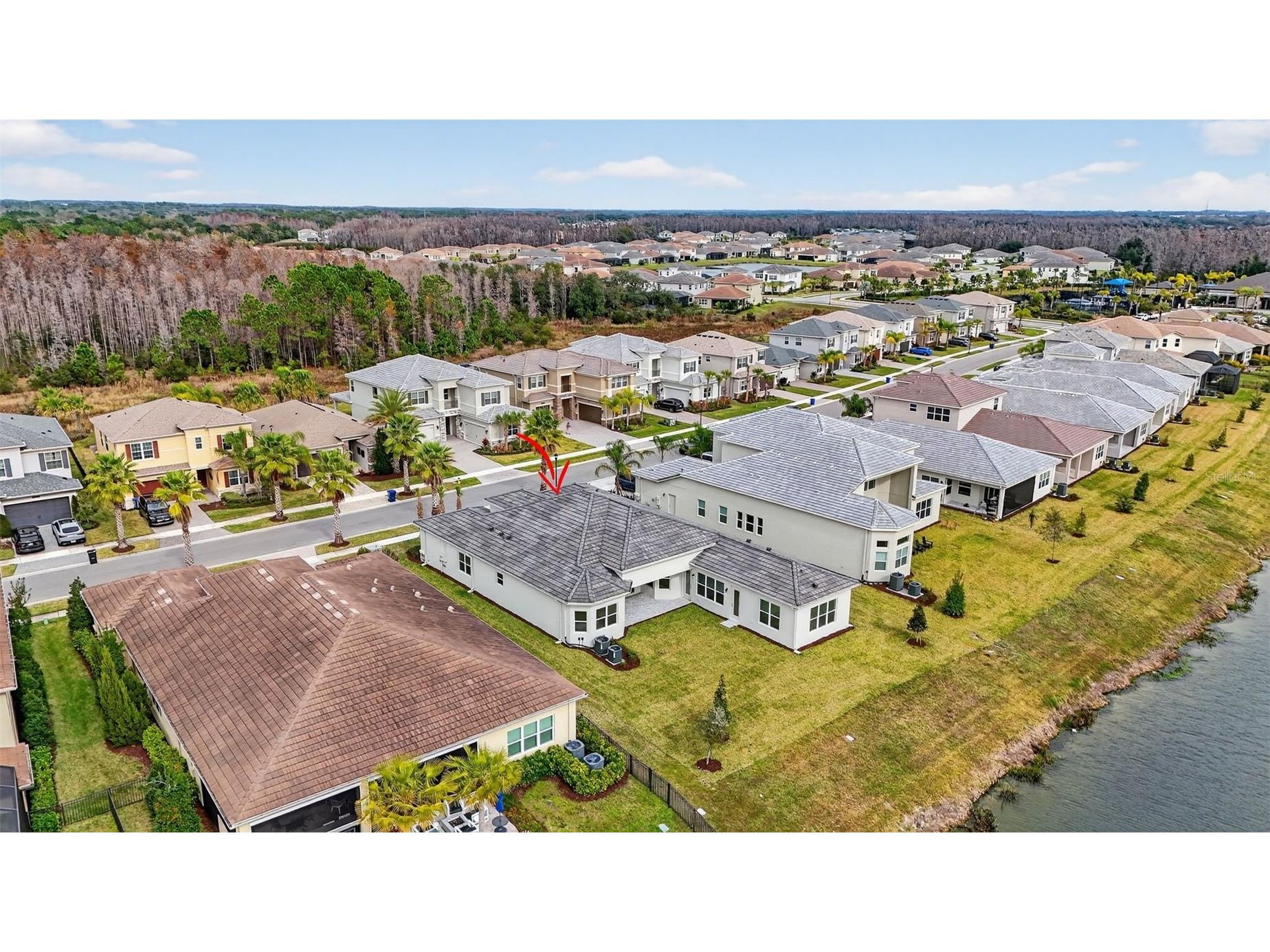 32212 Mahogany Valley Drive Wesley Chapel FL 33543 TB8368101 image50