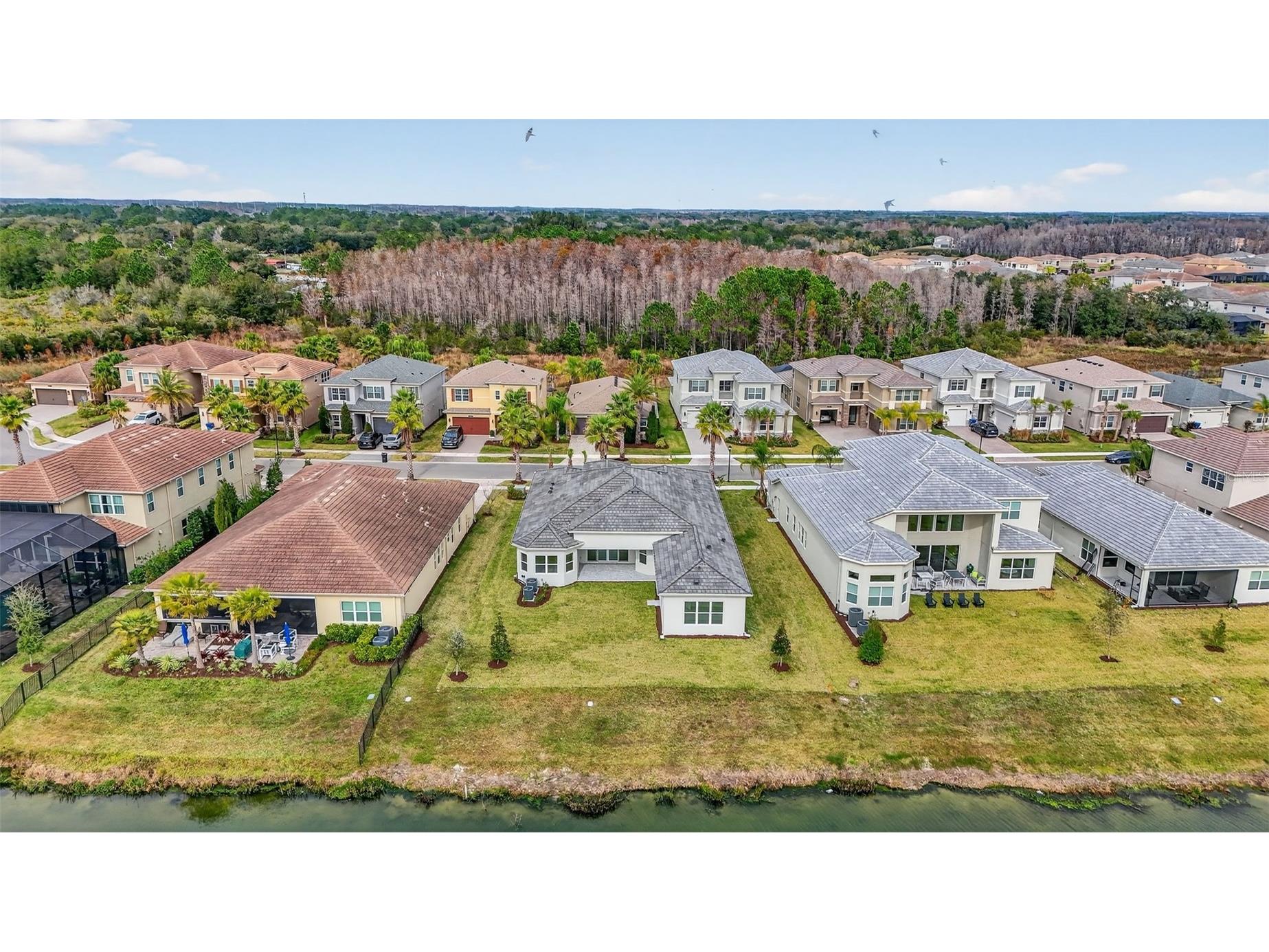 32212 Mahogany Valley Drive Wesley Chapel FL 33543 TB8368101 image51