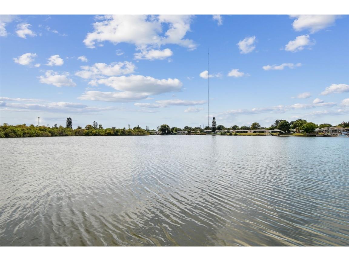 3222 Jackson Drive Holiday FL 34691 TB8431187 image25