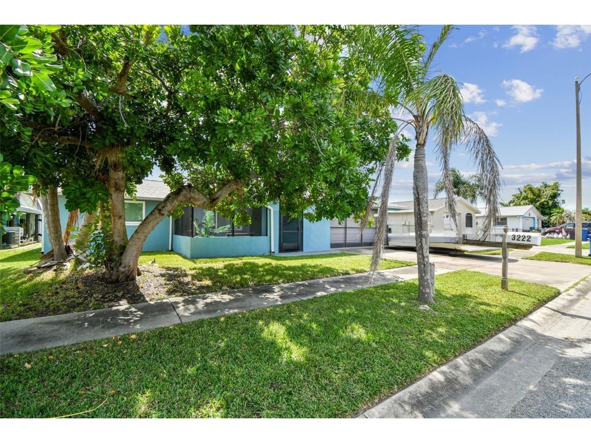 3222 Jackson Drive Holiday FL 34691 TB8431187 image3