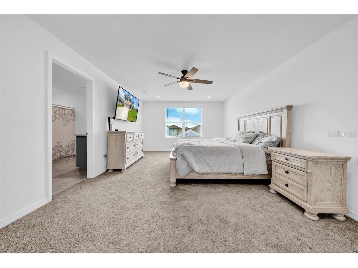 3222 Silver Date Drive Wimauma FL 33598 TB8411065 image22