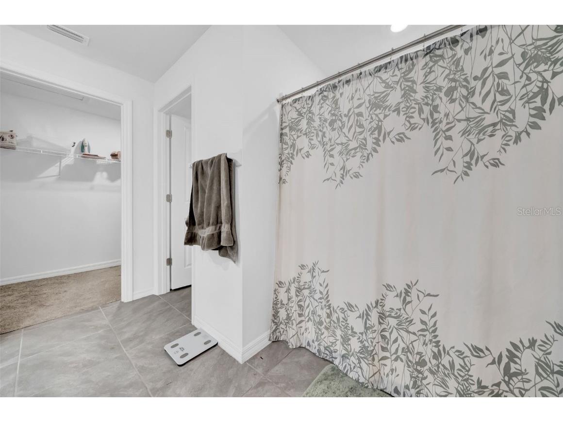 3222 Silver Date Drive Wimauma FL 33598 TB8411065 image26