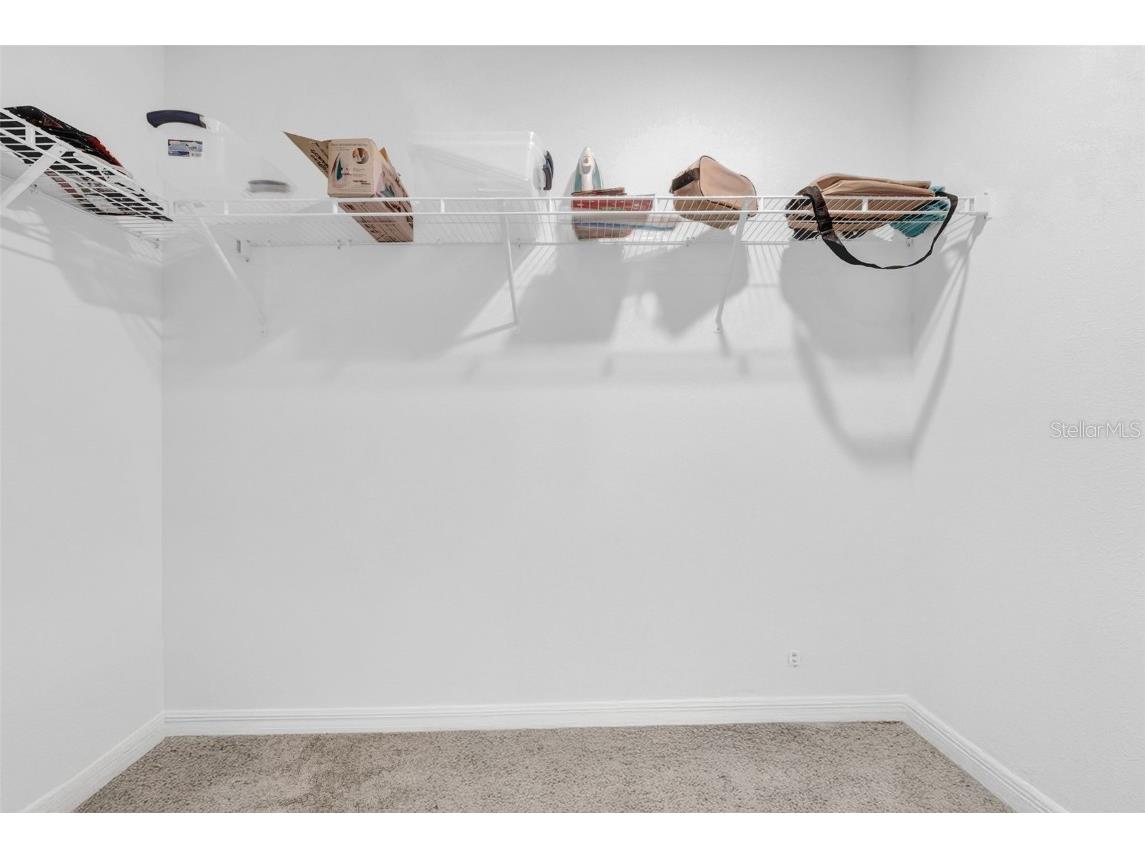 3222 Silver Date Drive Wimauma FL 33598 TB8411065 image27