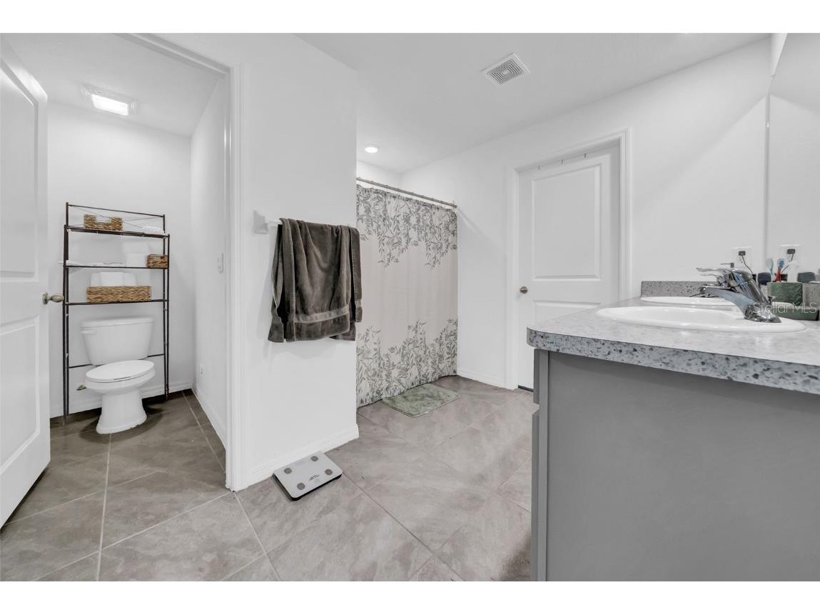 3222 Silver Date Drive Wimauma FL 33598 TB8411065 image28